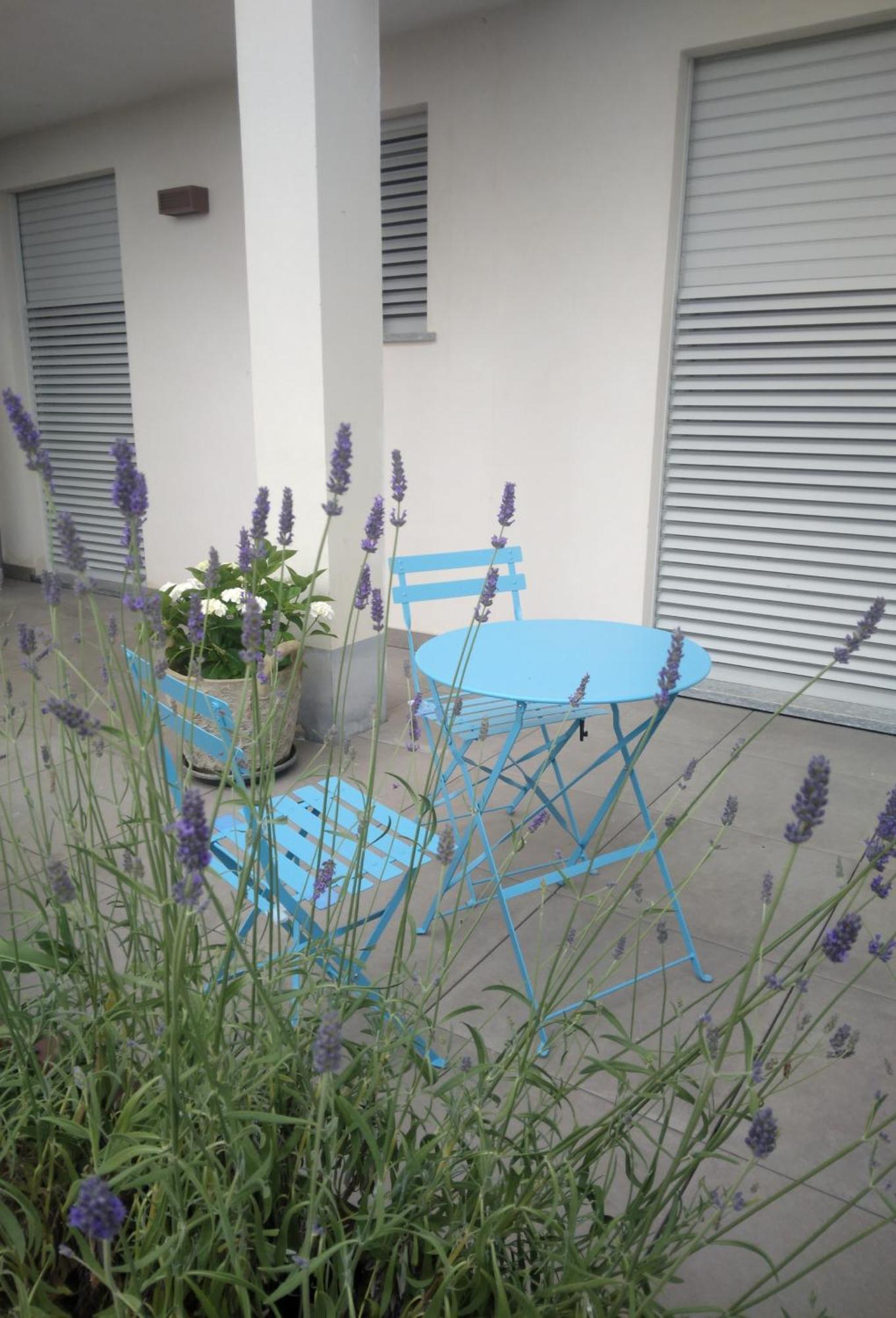 Cicci House Appartement Alba  Buitenkant foto